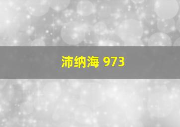 沛纳海 973